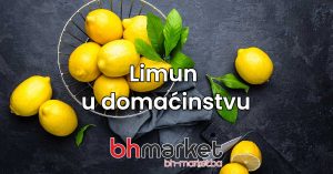 Read more about the article Limun u domaćinstvu