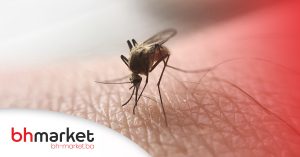 Pročitajte više o članku Sezona komaraca i preventivne mjere zaštite