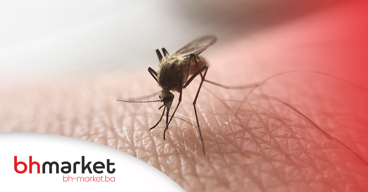 Trenutno pregledavate Sezona komaraca i preventivne mjere zaštite