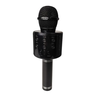 Bežični mikrofon i HIFI zvučnik WS